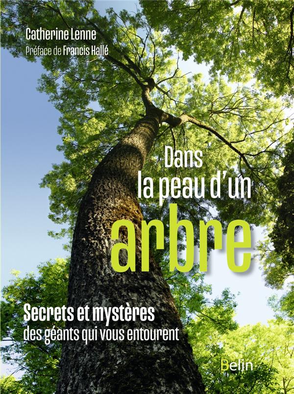 Dans la peau d'un arbre. Secrets et mystères des géants qui vous entourent