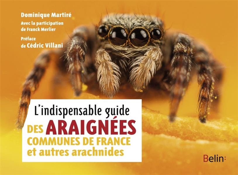 L'indispensable guide des araignées communes de France et autres arachnides