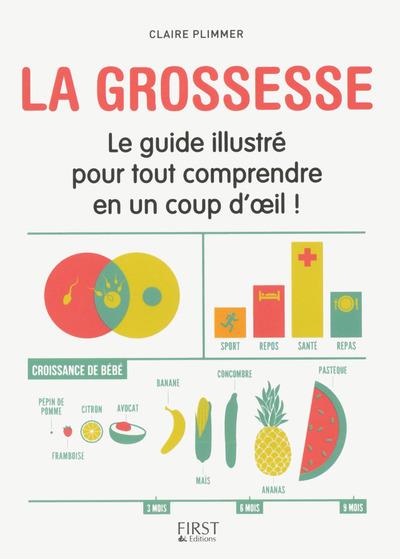 La grossesse. Le guide illustré pour tout comprendre d'un coup d'oeil !