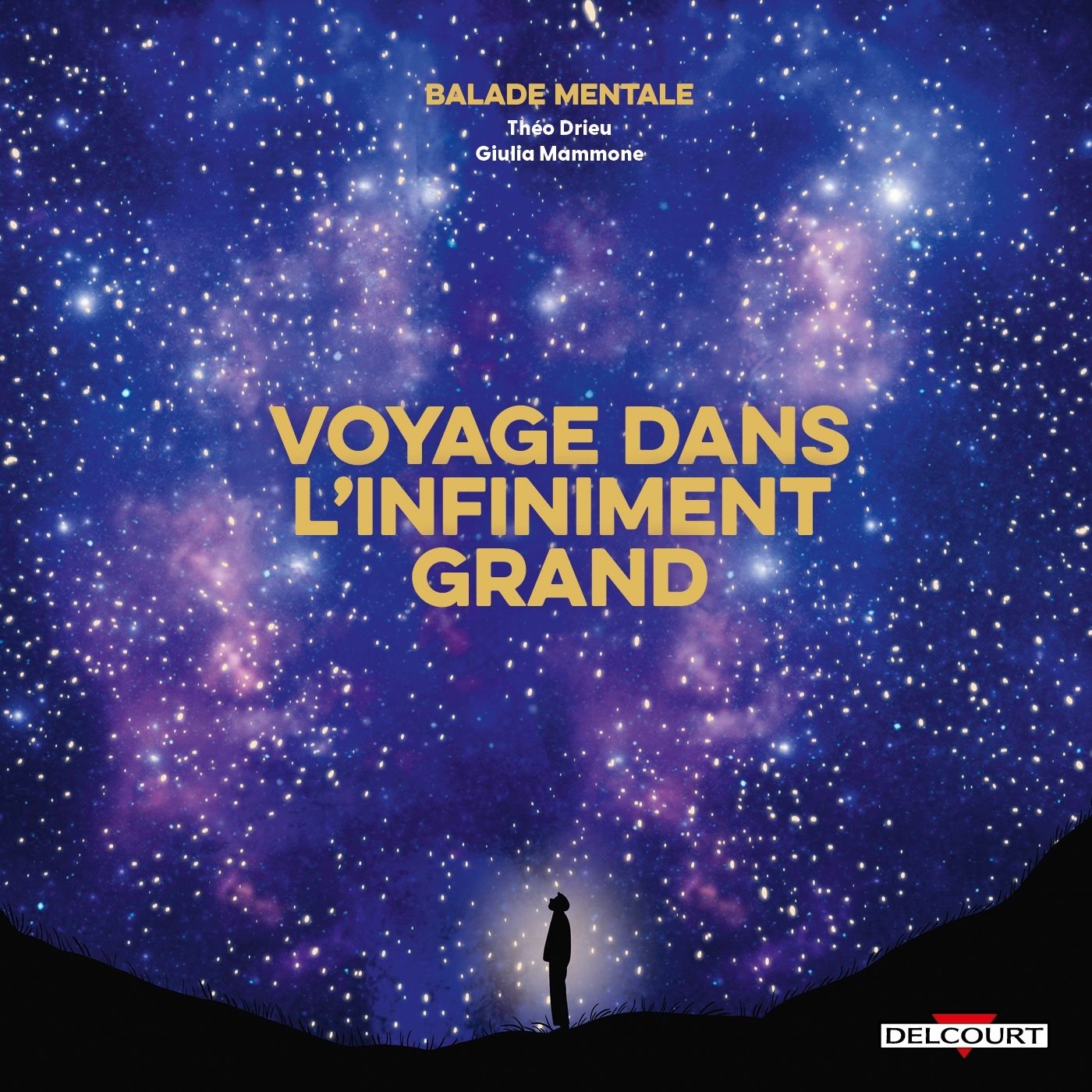 Voyage dans l'infiniment grand. Balade mentale