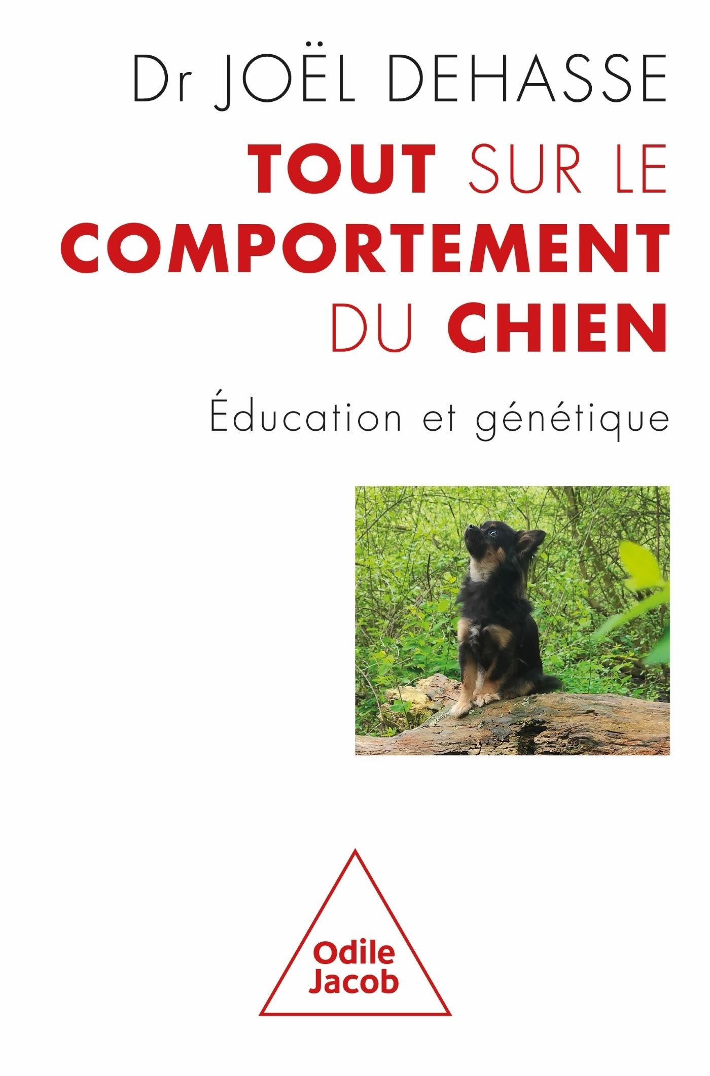 Tout sur le comportement du chien - Education et génétique