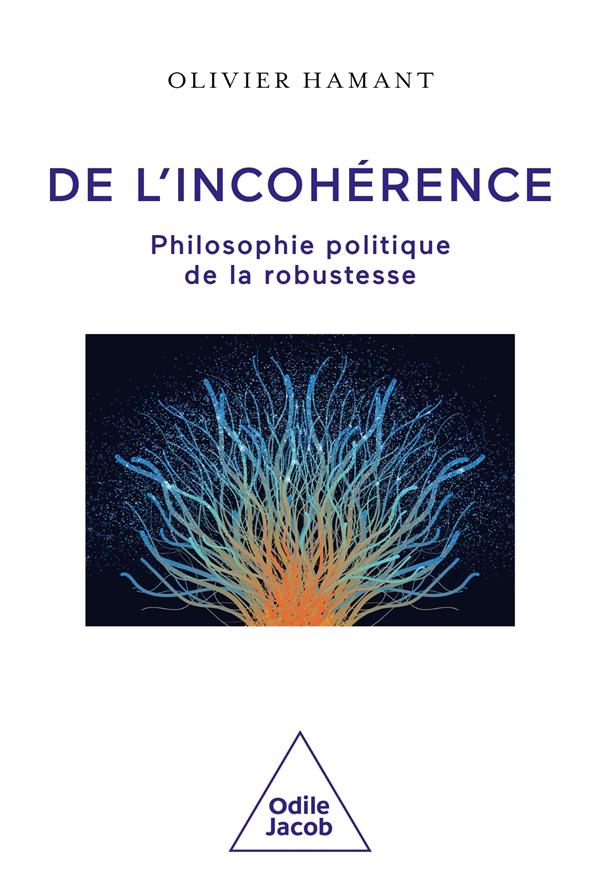 De l'incohérence. Philosophie politique de la robustesse