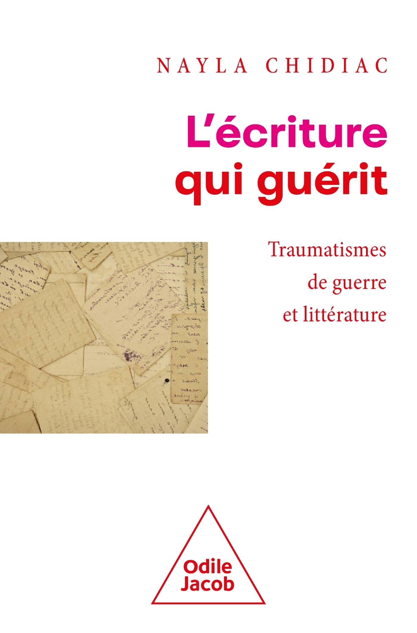 L'écriture qui guérit. Traumatismes de guerre et littérature