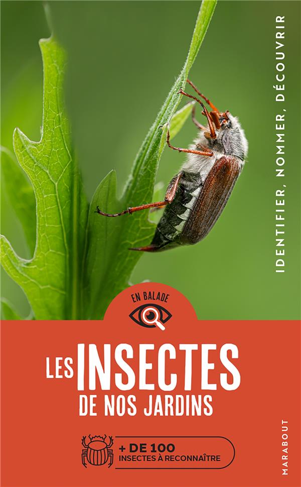 Les insectes de nos jardins. de 100 espèces à reconnaître