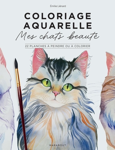 Coloriage aquarelle : Mes chats beautés. 22 planches à peindre ou à colorier