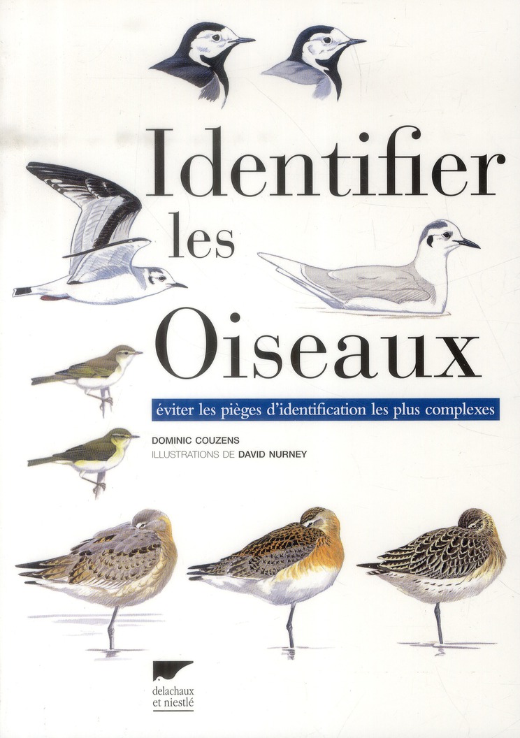 Identifier les oiseaux. Eviter les pièges d'identification les plus complexes