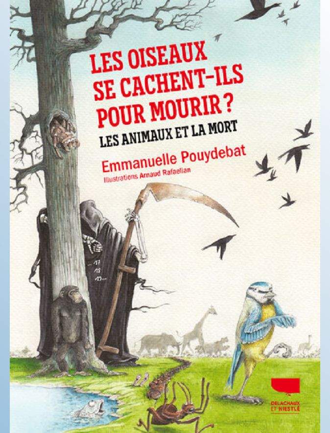 Les Oiseaux se cachent-ils pour mourir ? Les animaux et la mort