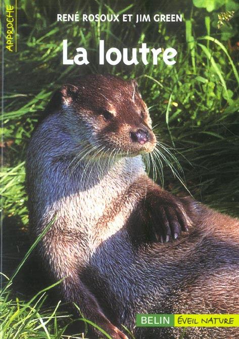 La loutre