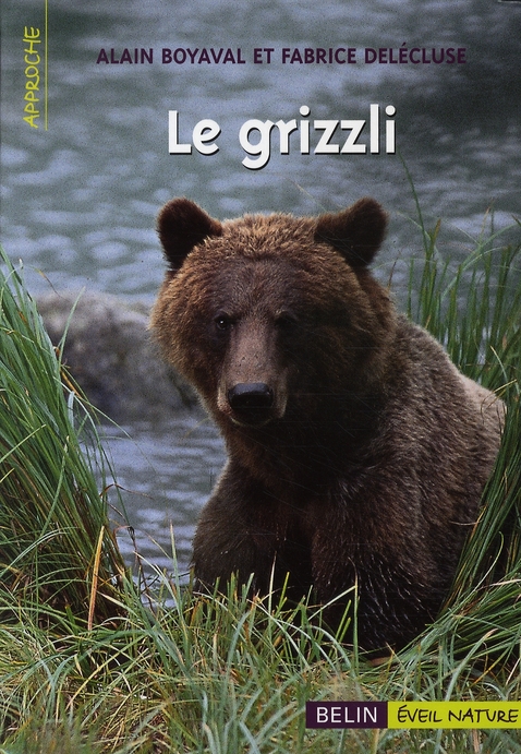 Le grizzli