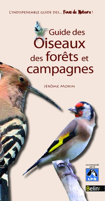 Guide des oiseaux des forêts et campagnes