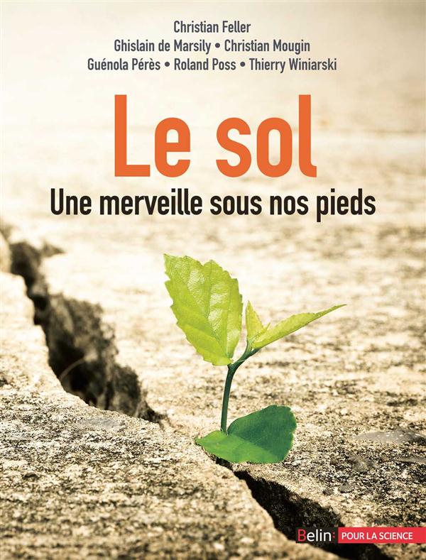 Le sol. Une merveille sous nos pieds