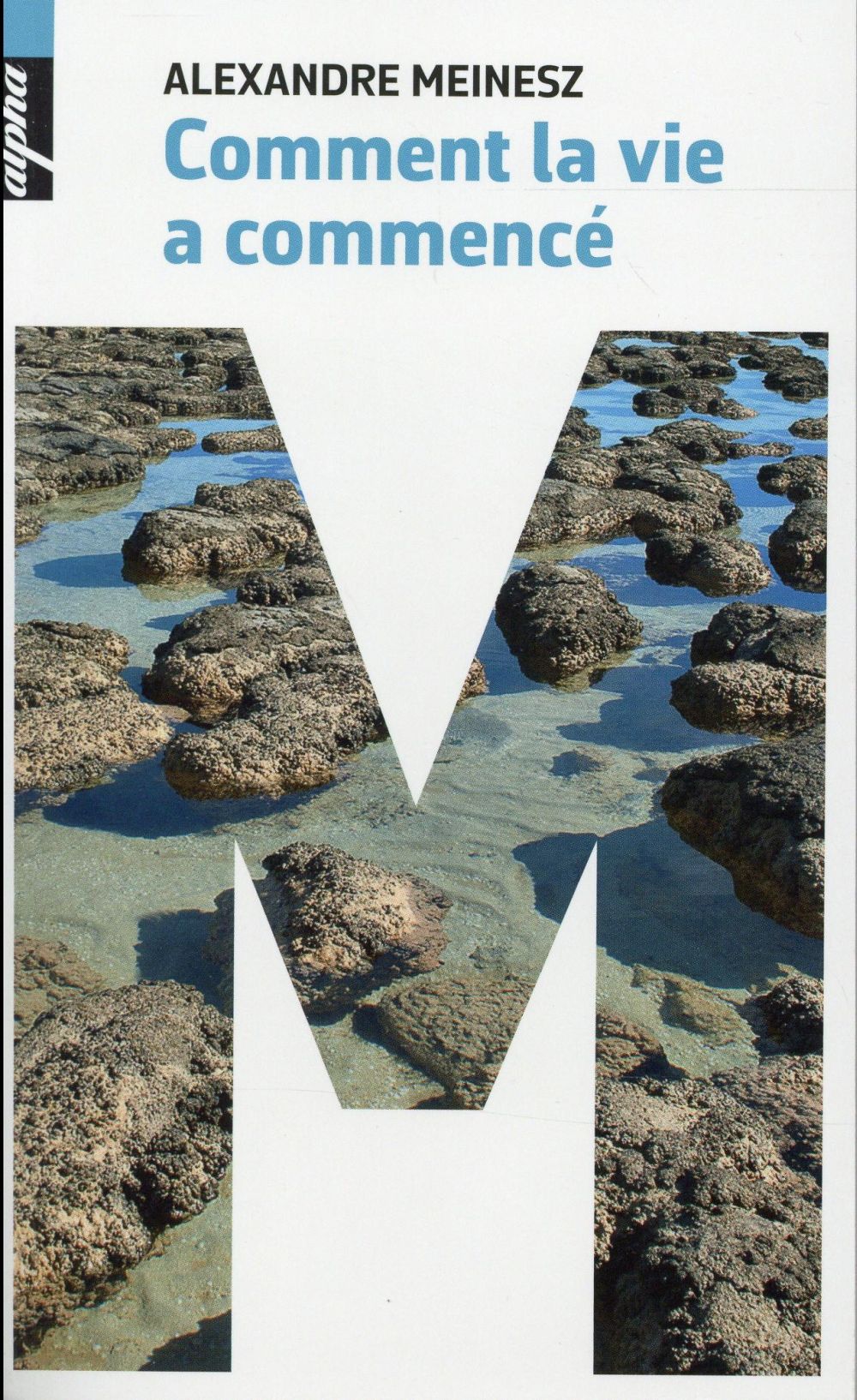 Comment la vie a commencé
