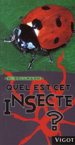 Quel est cet insecte ?