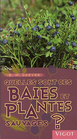 Quelles sont ces baies et plantes sauvages ?