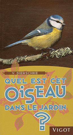 Quel est cet oiseau dans le jardin ?