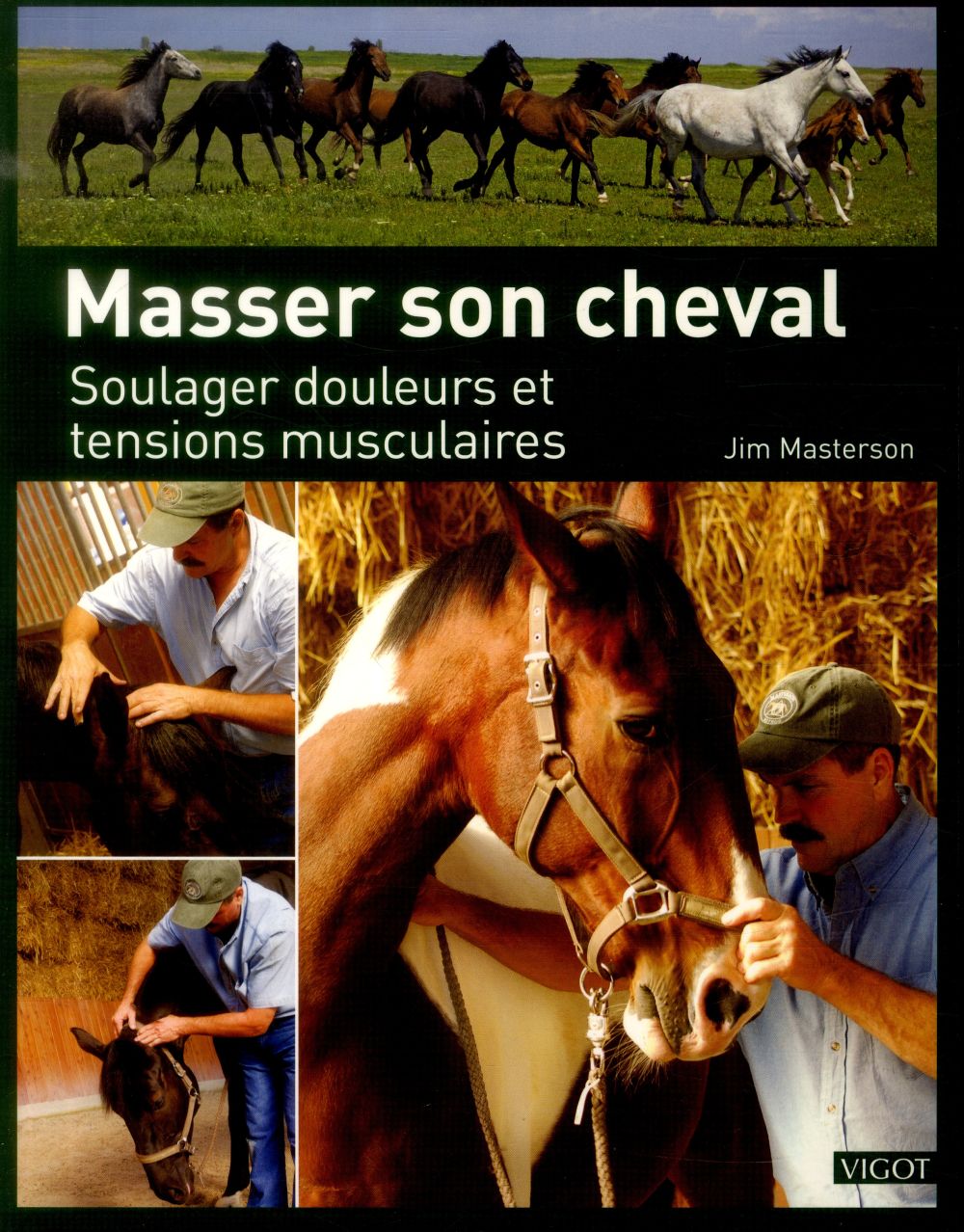Masser son cheval. Soulager douleurs et tensions musculaires