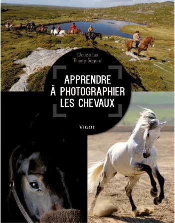 Photographier les chevaux