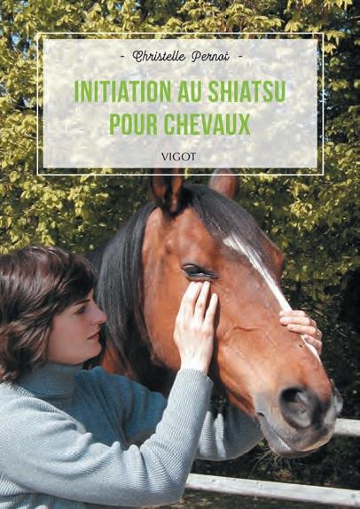 Initiation au shiatsu pour chevaux