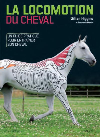 La locomotion du cheval. Un guide pratique pour entraîner son cheval