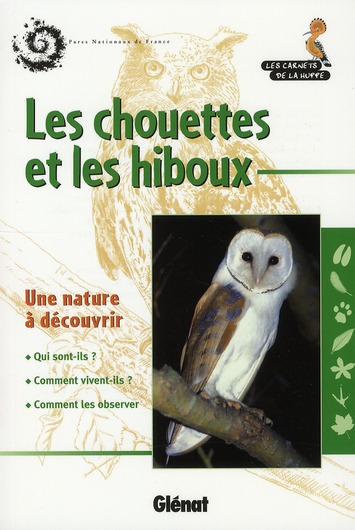 Les chouettes et les hiboux