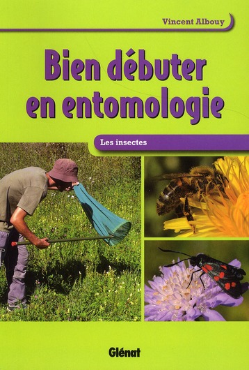 Bien débuter en entomologie. Les insectes