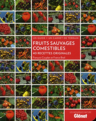 Fruits sauvages comestibles. 40 recettes originales, un guide + un carnet de terrain