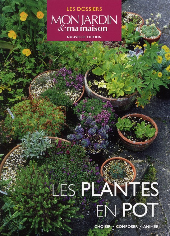 Les plantes en pot