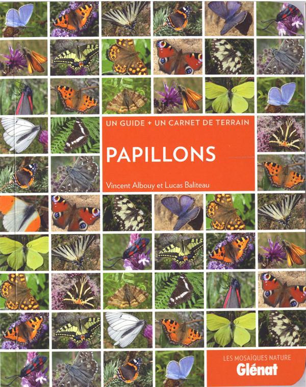 Papillons. Un guide + un carnet de terrain