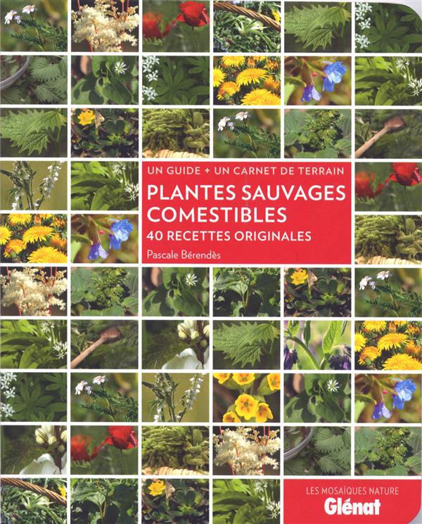Plantes sauvages comestibles. 40 recettes originales