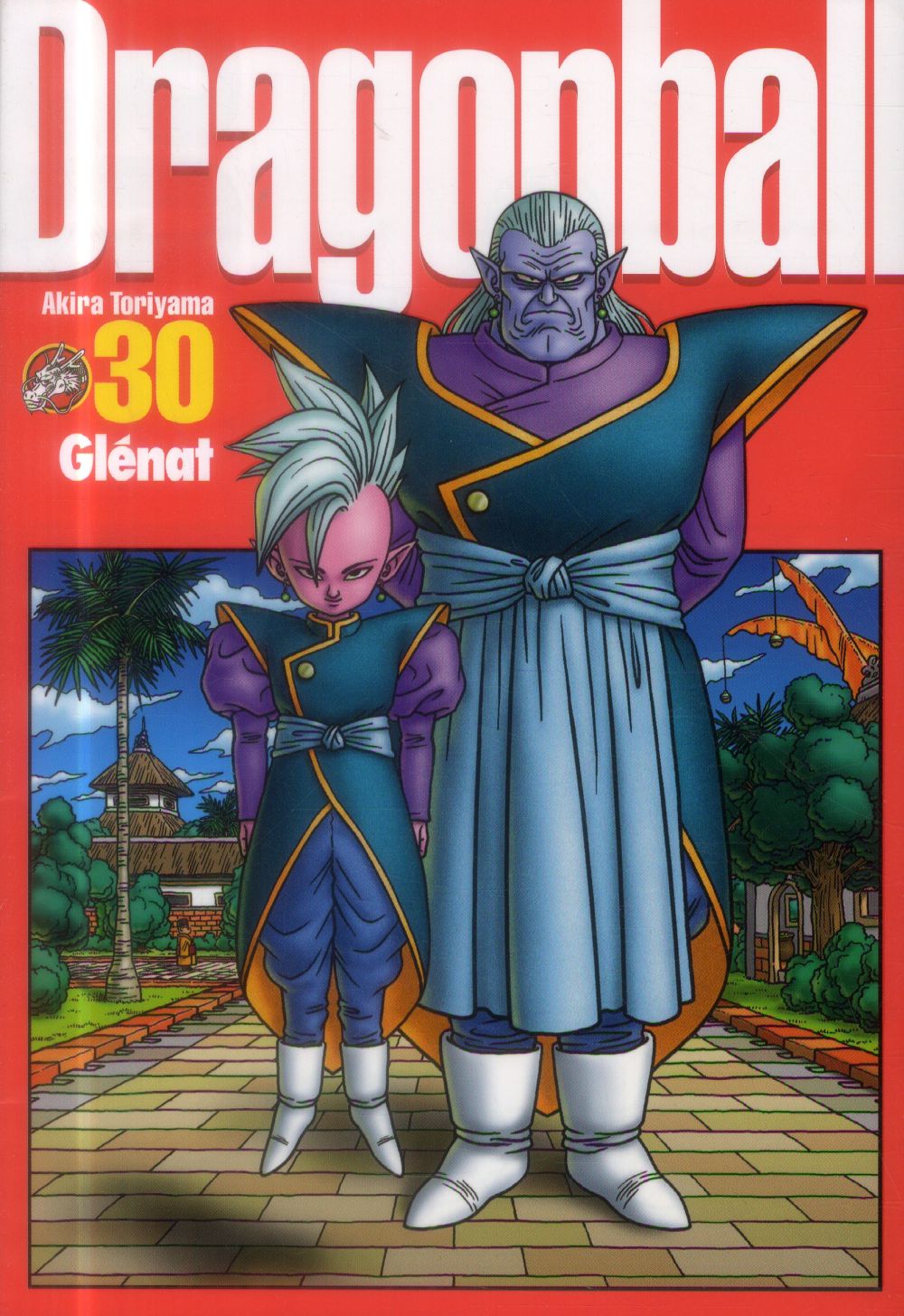 Dragon Ball perfect edition Tome 30