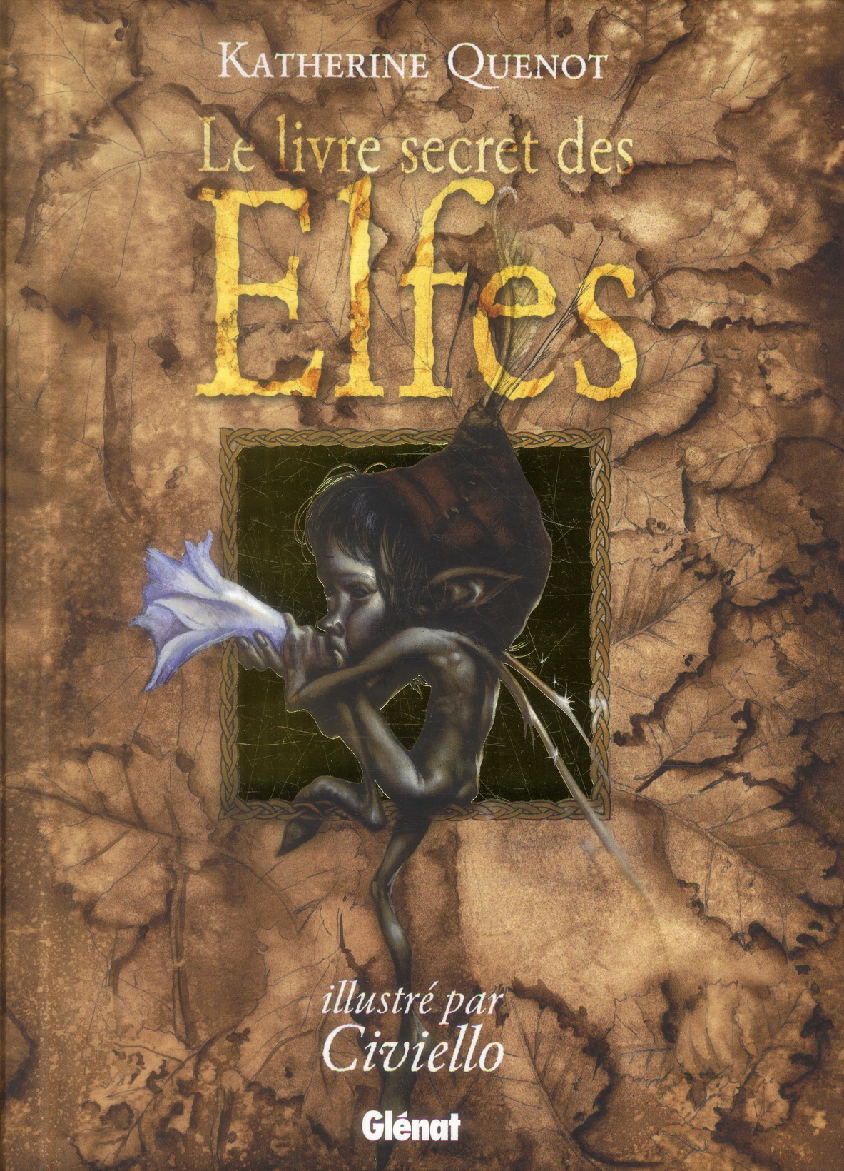 Le livre secret des Elfes