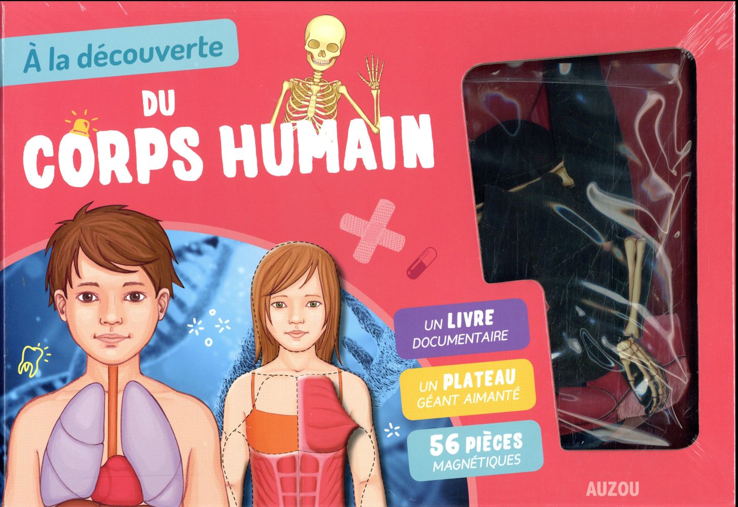 A la découverte du corps humain. Avec 1 plateau aimanté et 39 pièces magnétiques