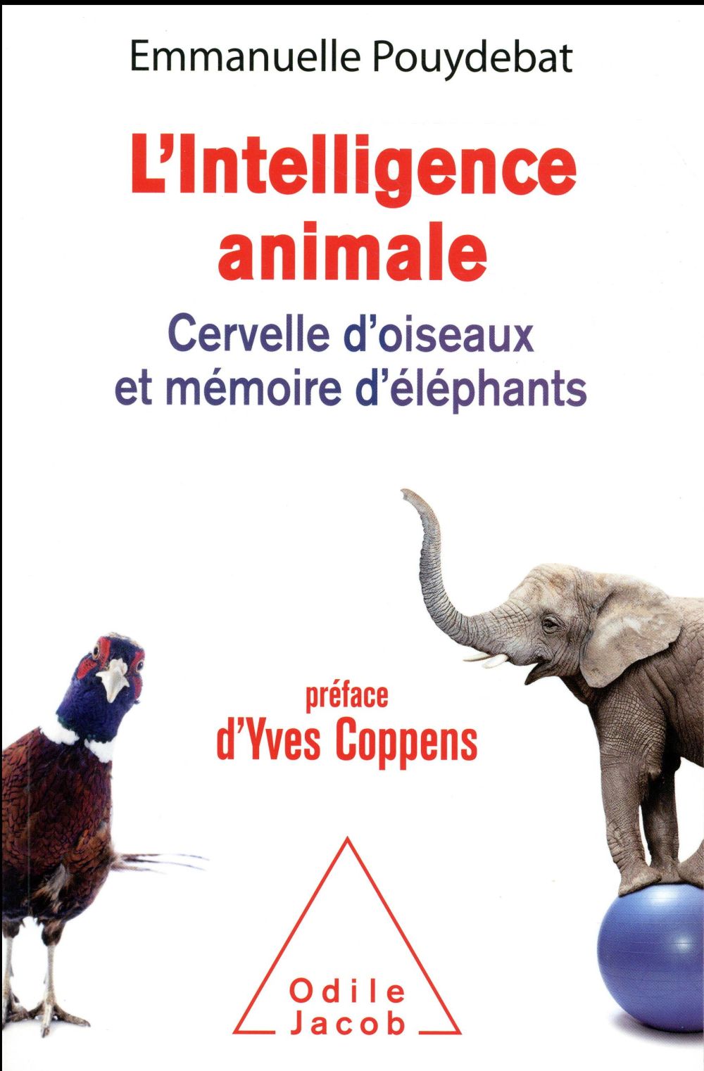 L'Intelligence animale. Cervelle d'oiseaux et mémoire d'éléphants