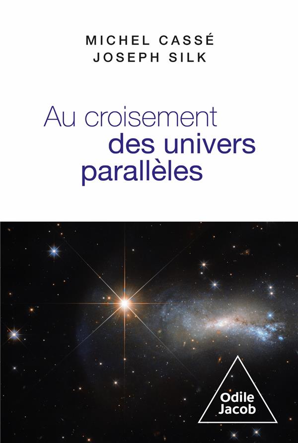 Au croisement des univers parallèles. Cosmologie et métacosmologie