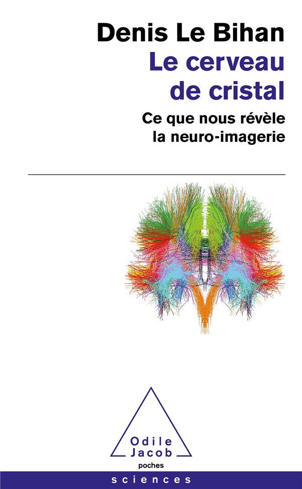 Le cerveau de cristal. Ce que nous révèle la neuro-imagerie