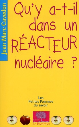 Qu'y a-t-il dans un réacteur nucléaire ?