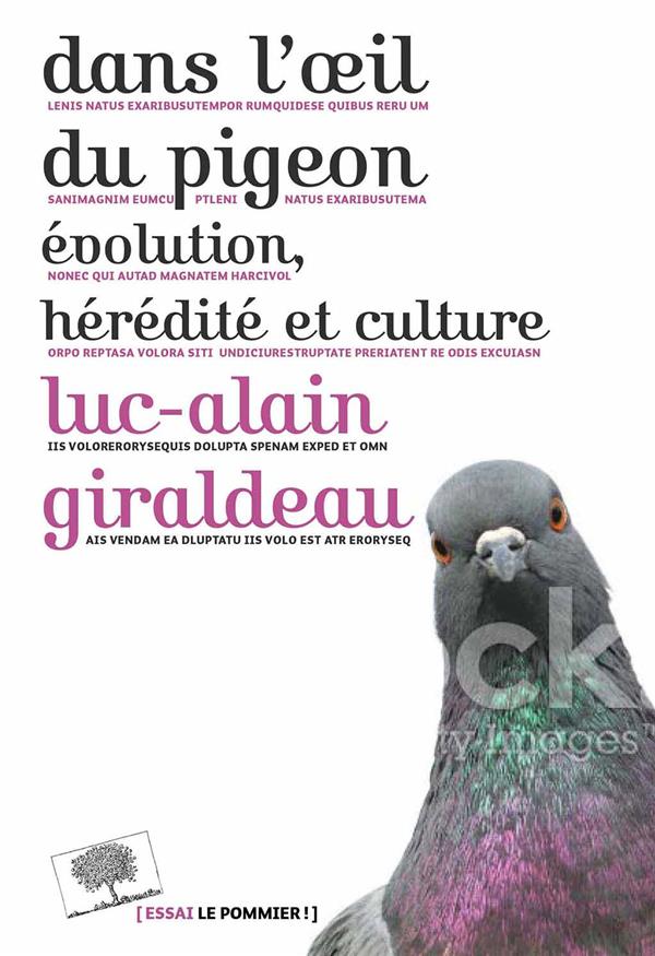 Dans l'oeil du pigeon. Evolution, hérédité et culture