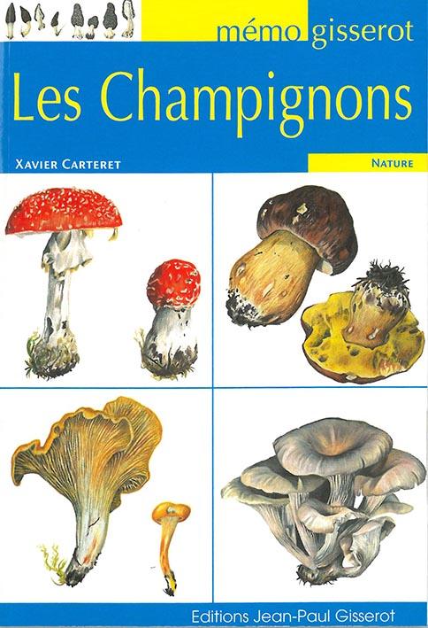 Mémo - Les champignons