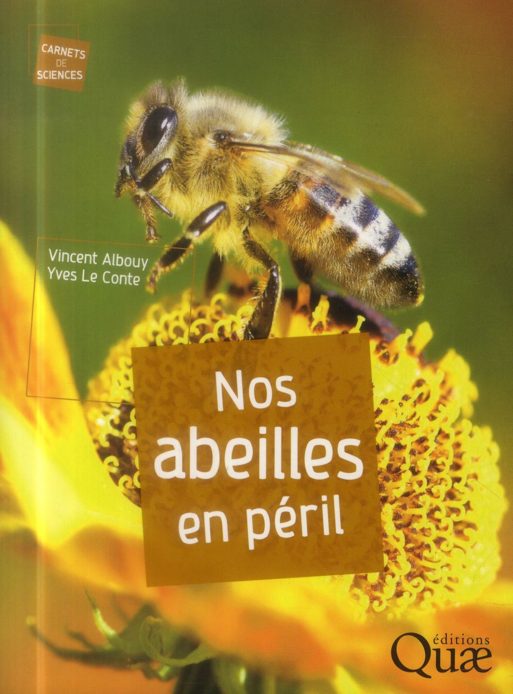 Nos abeilles en péril