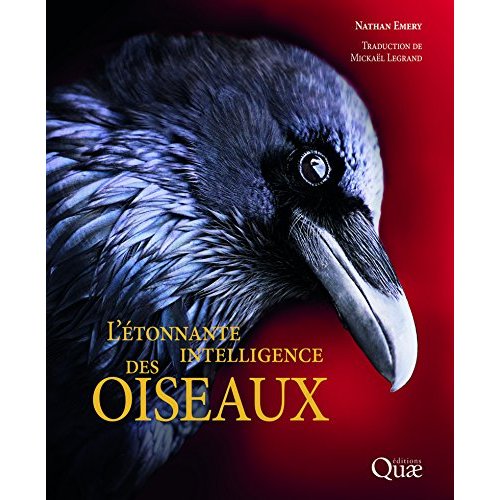 L'étonnante intelligence des oiseaux