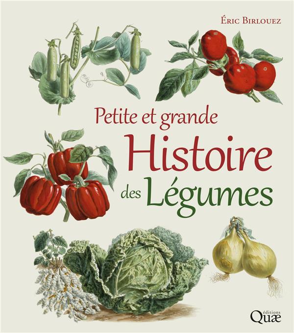 pETITE ET GRANDE HISTOIRE DES LEGUMES