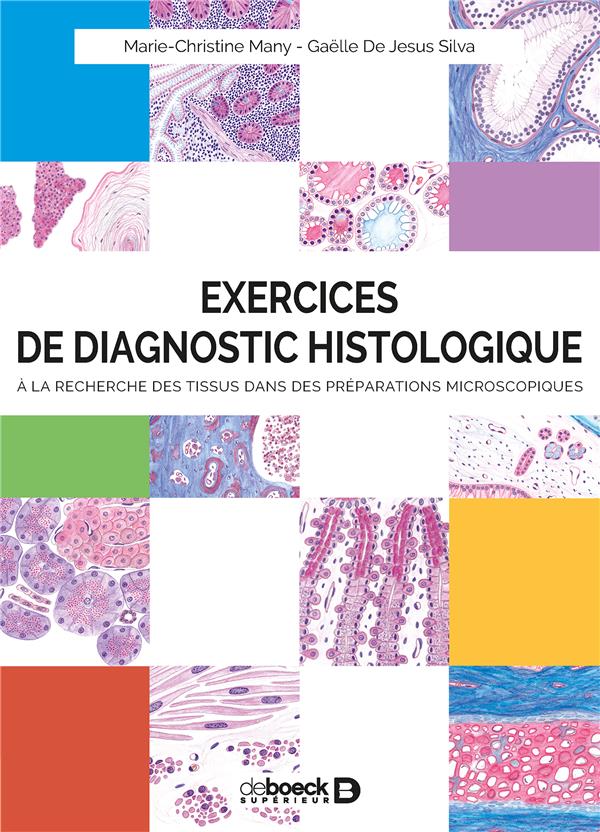 Exercices de diagnostic histologique. À la recherche des tissus dans des préparations microscopiques