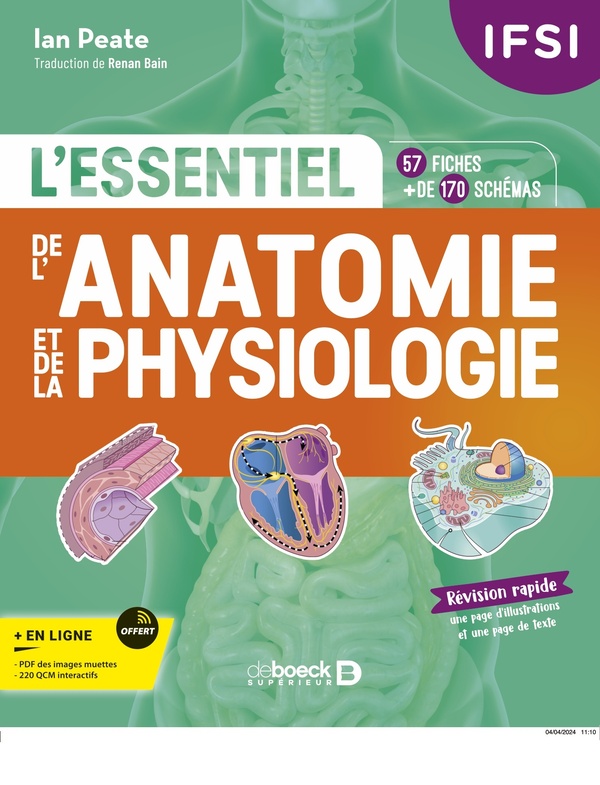 IFSI - L'essentiel de l’anatomie et de la physiologie. Edition 2024