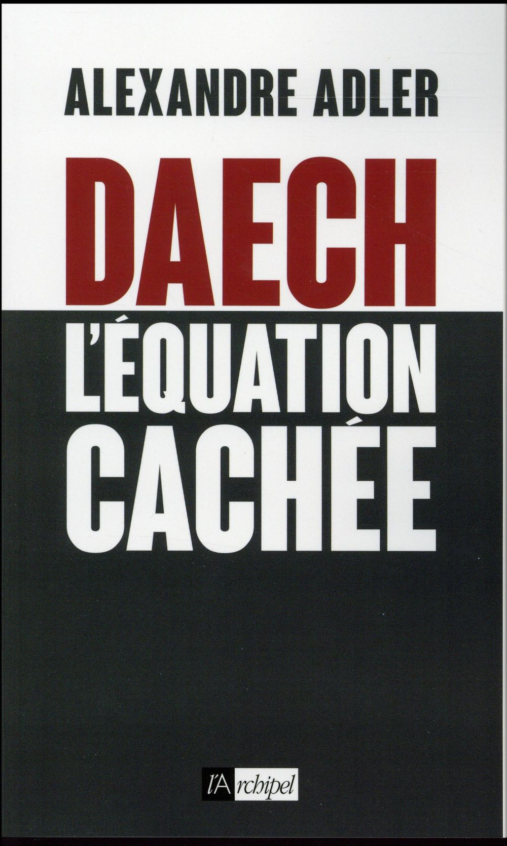 Daech. L'équation cachée