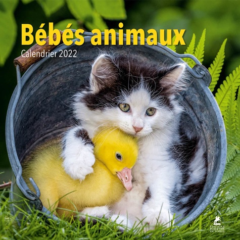 Bébés animaux. Edition 2022