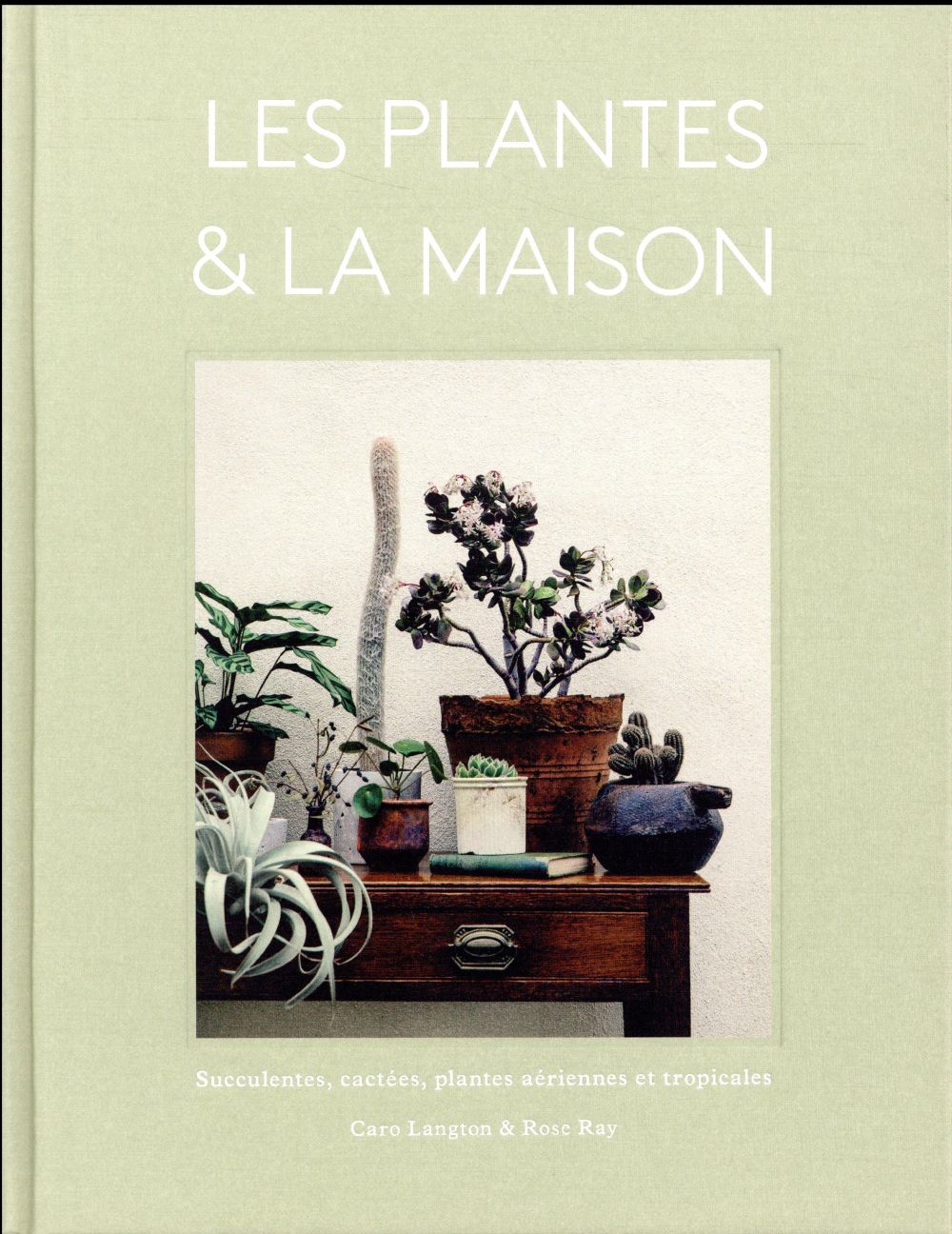 Les plantes & la maison. Succulentes, cactées, plantes aériennes et tropicales