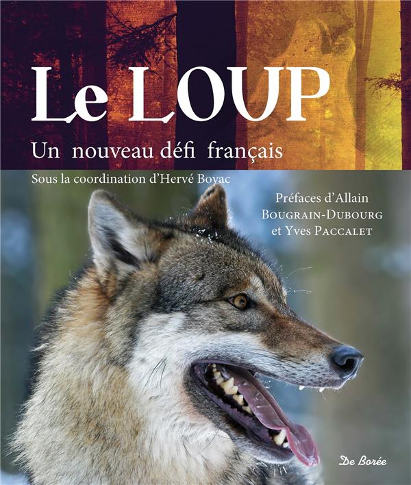 Le loup un nouveau défi français