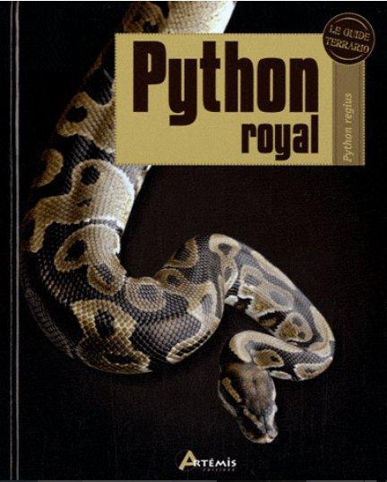 Python royal. Python regius