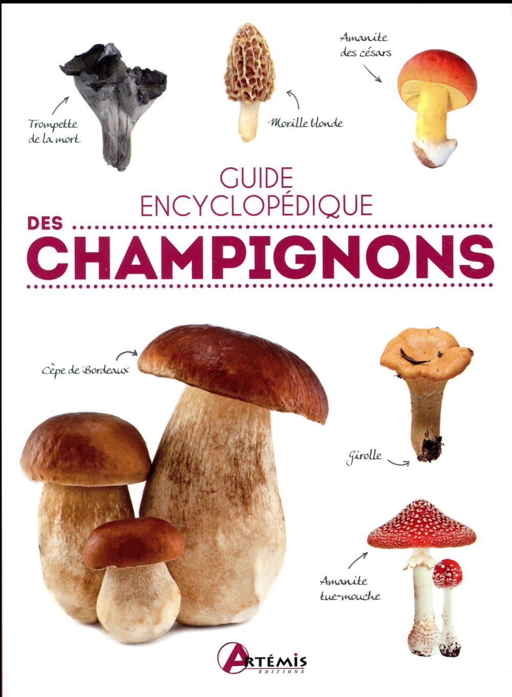 Guide encyclopédique des champignons