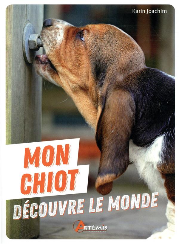 Mon chiot découvre le monde